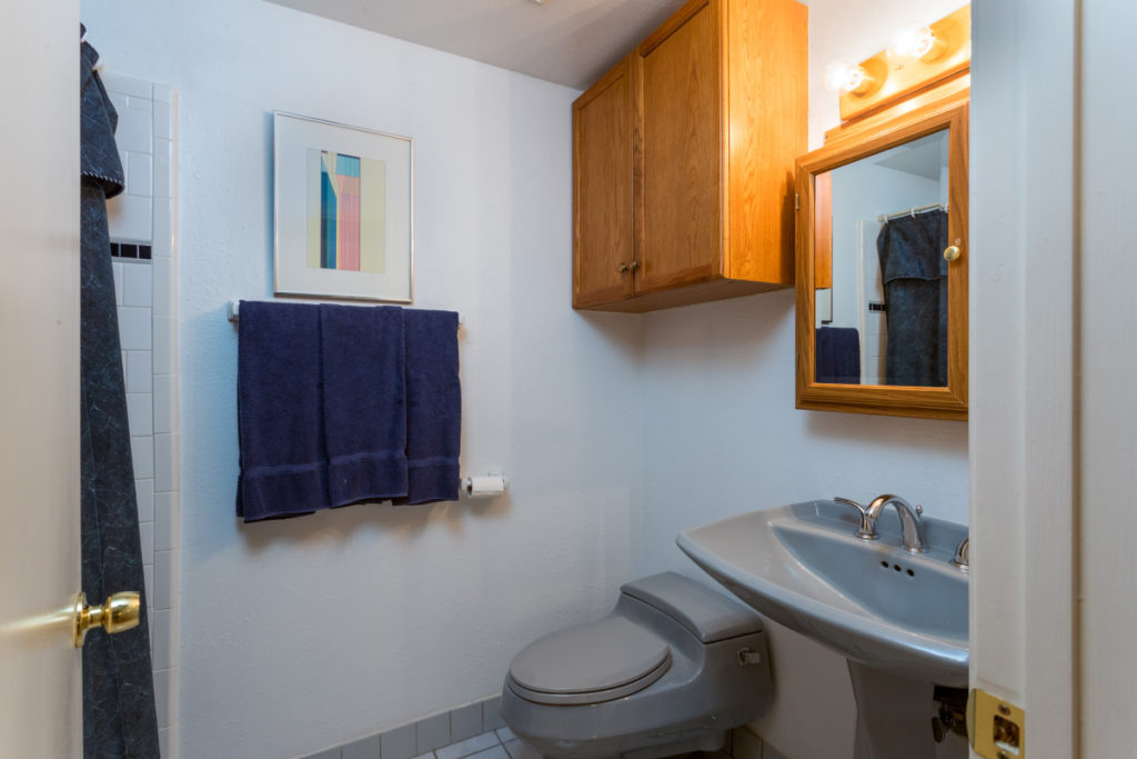 3939-E-Allin-205-bathroom